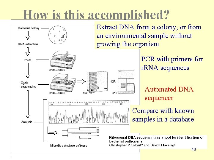 How is this accomplished? Extract DNA from a colony, or from an environmental sample