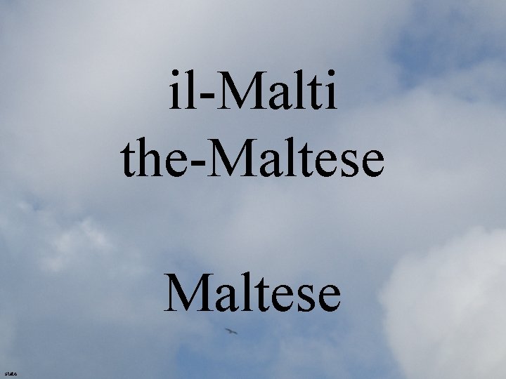 il-Malti the-Maltese 4 state 