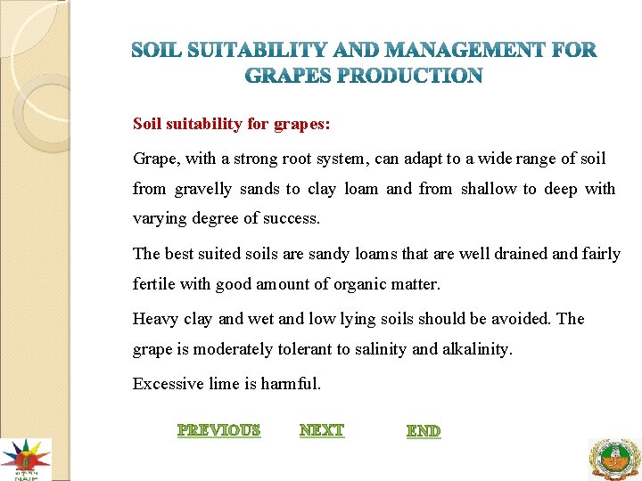 Soil suitability for grapes: Grape, with a strong root system, can adapt to a