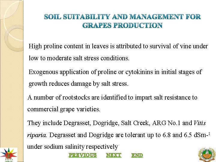 High proline content in leaves is attributed to survival of vine under low to