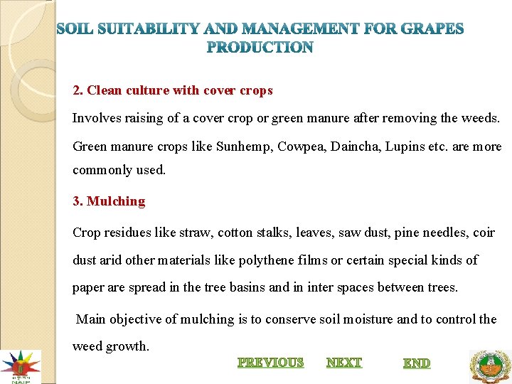 2. Clean culture with cover crops Involves raising of a cover crop or green