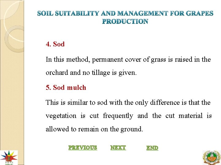 4. Sod In this method, permanent cover of grass is raised in the orchard