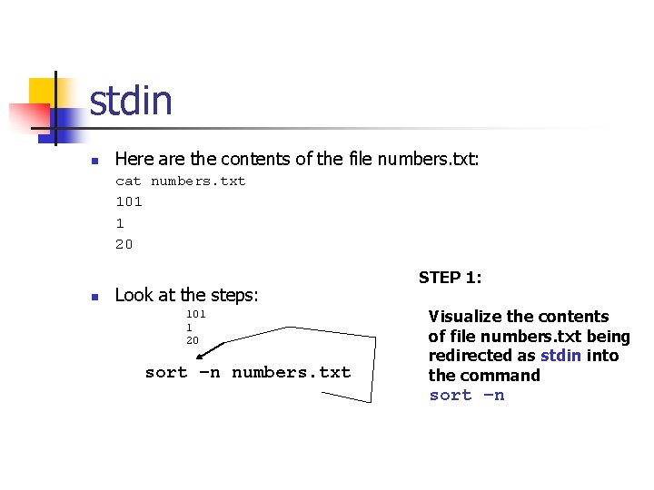 stdin n Here are the contents of the file numbers. txt: cat numbers. txt