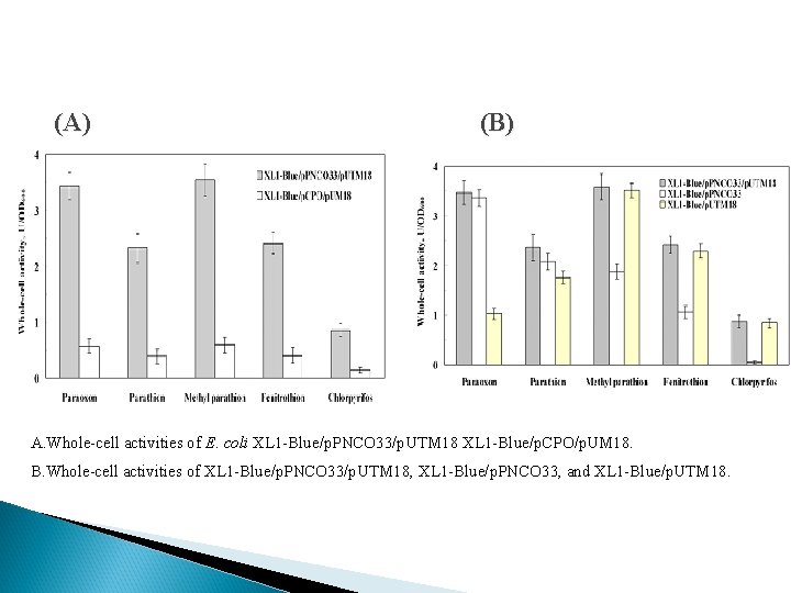 (A) (B) A. Whole-cell activities of E. coli XL 1 -Blue/p. PNCO 33/p. UTM