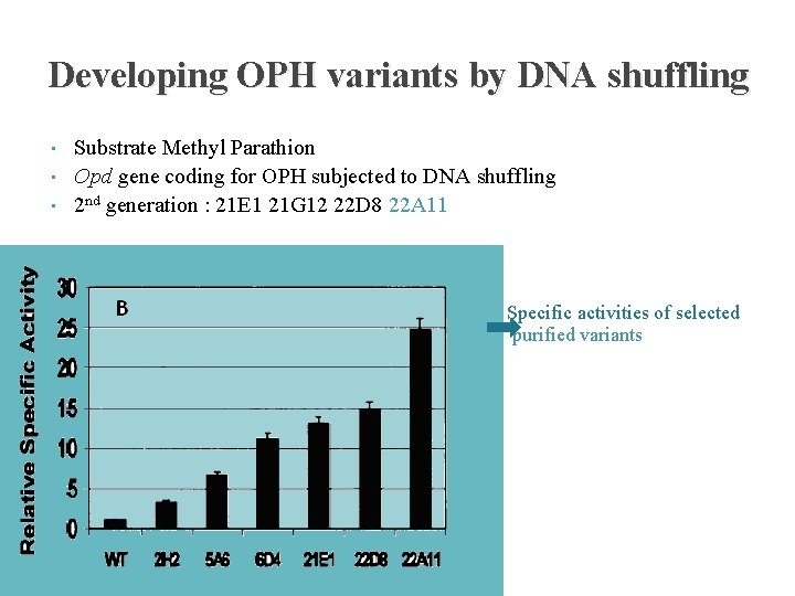 Developing OPH variants by DNA shuffling • • • Substrate Methyl Parathion Opd gene