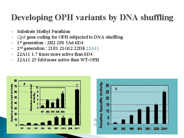 Developing OPH variants by DNA shuffling • • • Substrate Methyl Parathion Opd gene