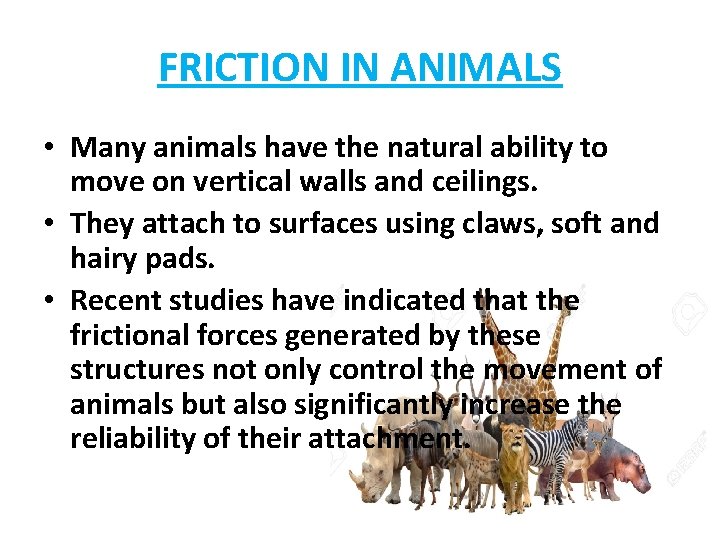 FRICTION IN ANIMALS • Many animals have the natural ability to move on vertical