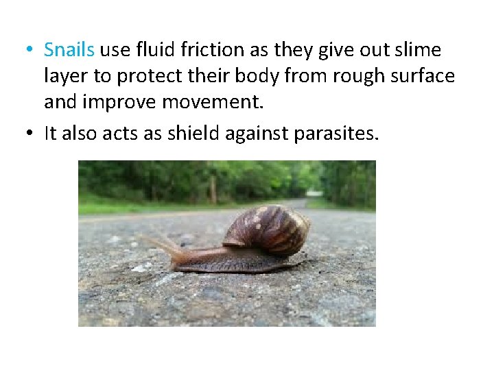  • Snails use fluid friction as they give out slime layer to protect