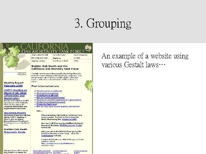 3. Grouping An example of a website using various Gestalt laws… 