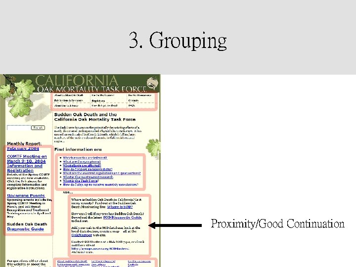 3. Grouping Proximity/Good Continuation 