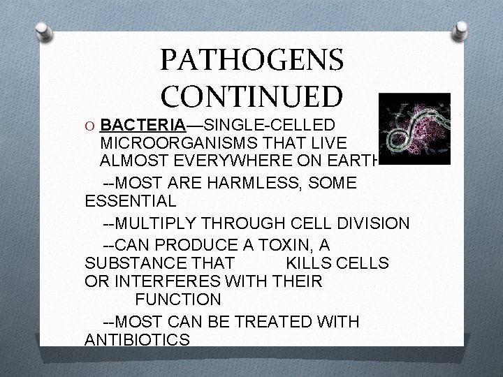 PATHOGENS CONTINUED O BACTERIA—SINGLE-CELLED MICROORGANISMS THAT LIVE ALMOST EVERYWHERE ON EARTH --MOST ARE HARMLESS,