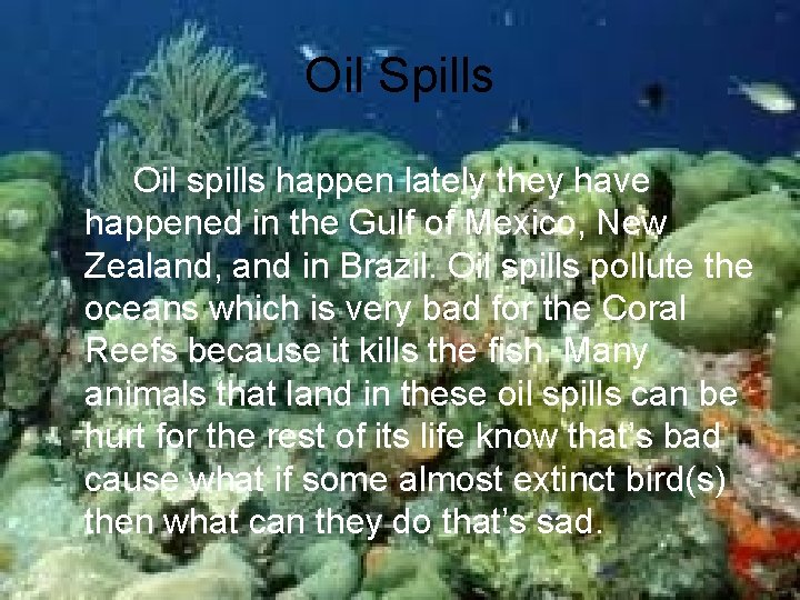 Oil Spills Oil spills happen lately they have happened in the Gulf of Mexico,