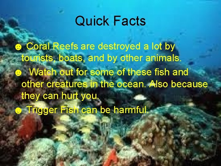 Quick Facts ☻ Coral Reefs are destroyed a lot by tourists, boats, and by