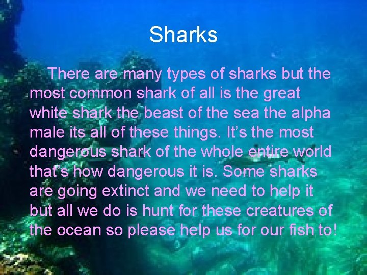 Sharks There are many types of sharks but the most common shark of all