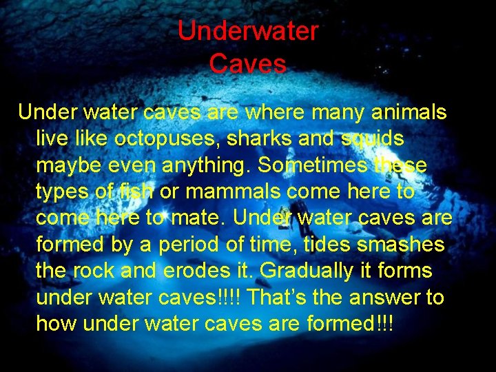 Underwater Caves Under water caves are where many animals live like octopuses, sharks and