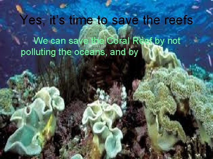 Yes, it’s time to save the reefs We can save the Coral Reef by