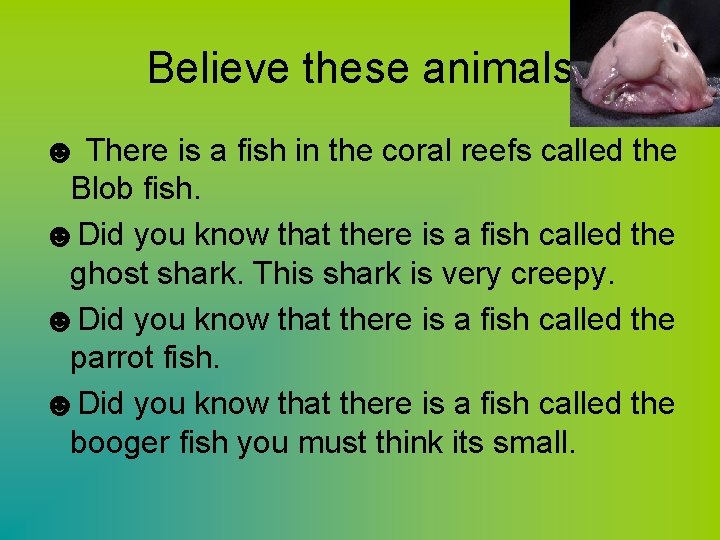 Believe these animals ☻ There is a fish in the coral reefs called the