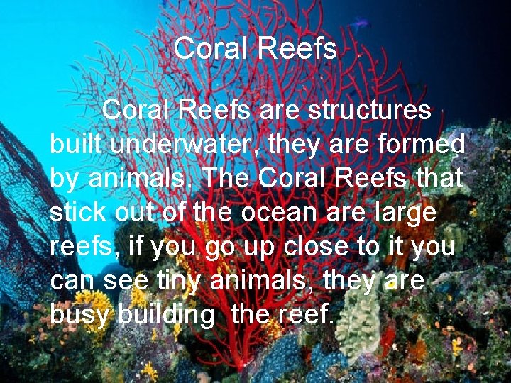 Coral Reefs are structures built underwater, they are formed by animals. The Coral Reefs