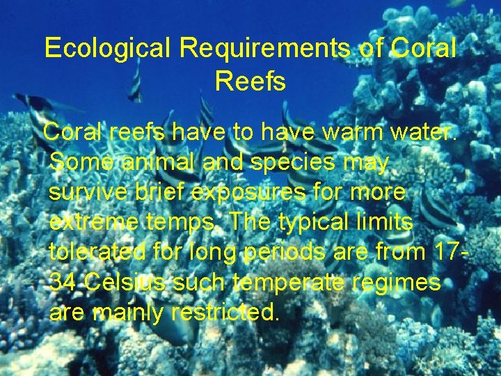 Ecological Requirements of Coral Reefs Coral reefs have to have warm water. Some animal