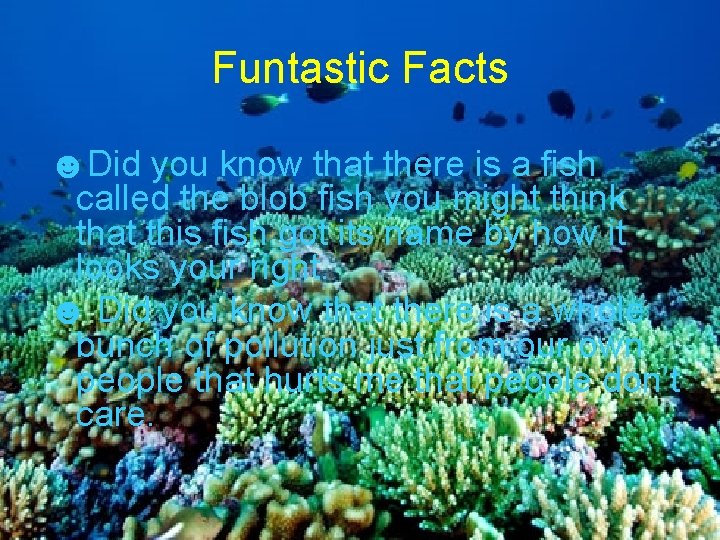 Funtastic Facts ☻Did you know that there is a fish called the blob fish