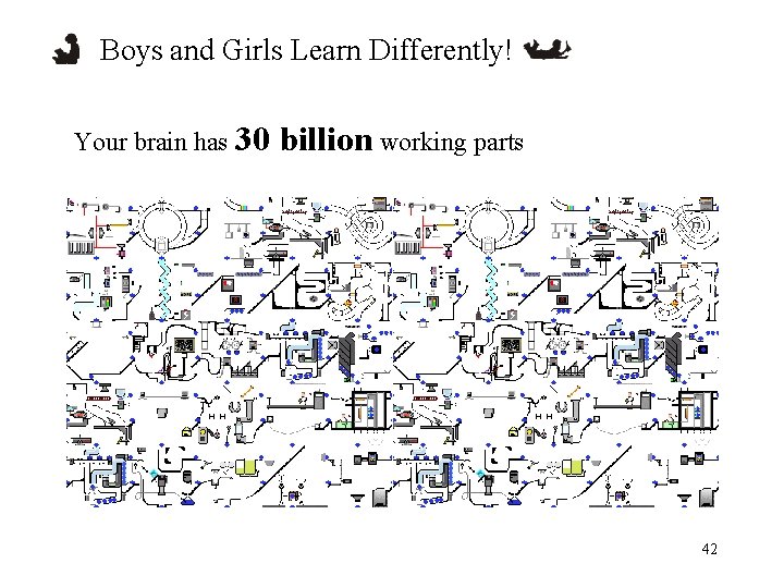 Boys and Girls Learn Differently! Your brain has 30 billion working parts 42 