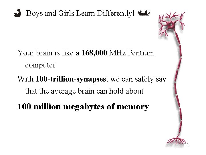 Boys and Girls Learn Differently! Your brain is like a 168, 000 MHz Pentium