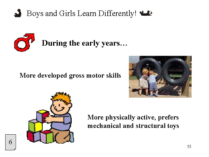 Boys and Girls Learn Differently! During the early years… More developed gross motor skills