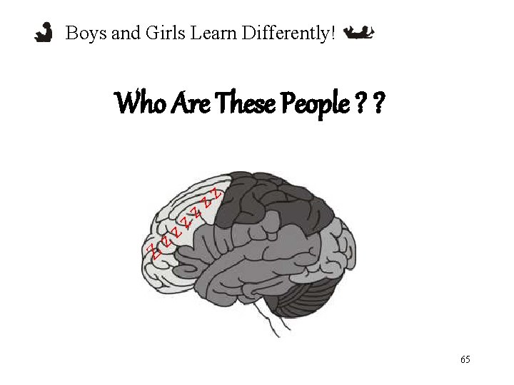 Boys and Girls Learn Differently! Z zz zz zz Who Are These People ?