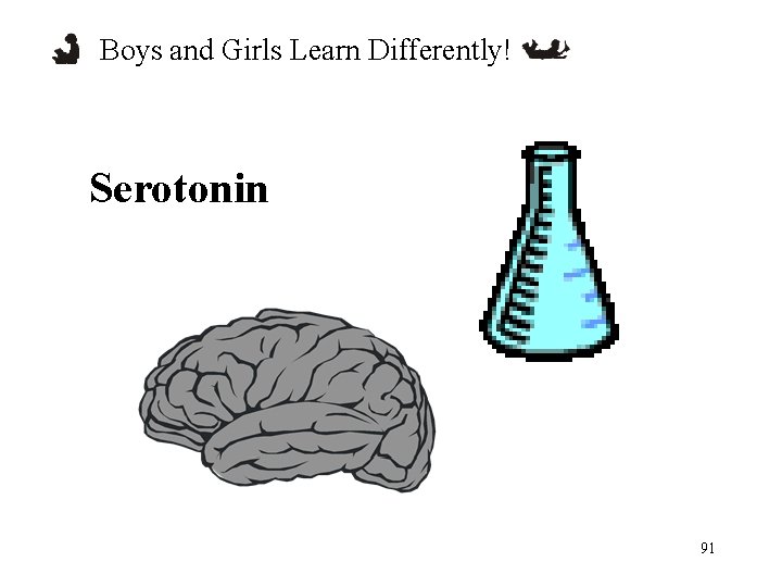 Boys and Girls Learn Differently! Serotonin 91 