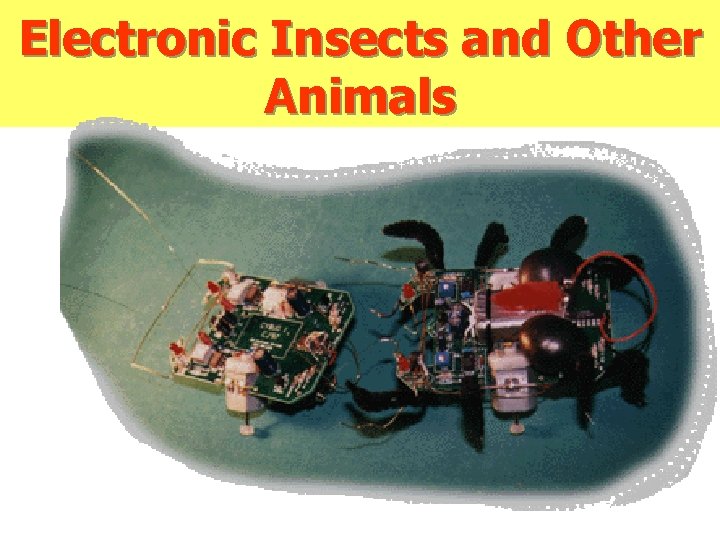 Electronic Insects and Other Animals 