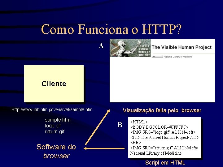 Como Funciona o HTTP? A Cliente Http: //www. nih. nlm. gov/visível/sample. htm logo. gif