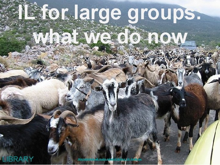 IL for large groups: what we do now LIBRARY http: //commons. wikimedia. org/wiki/File: Herd_Of_Goats.