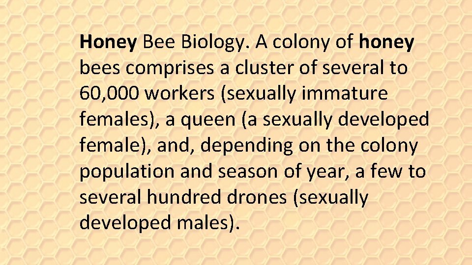 Honey Bee Biology. A colony of honey bees comprises a cluster of several to