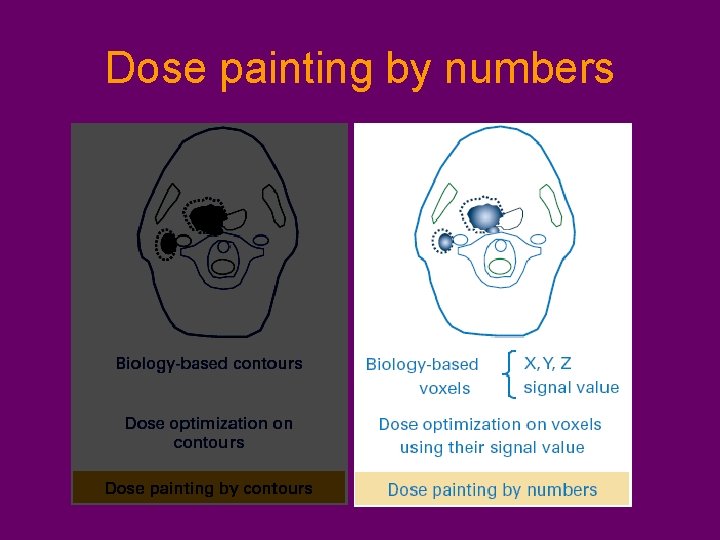 Dose painting by numbers 