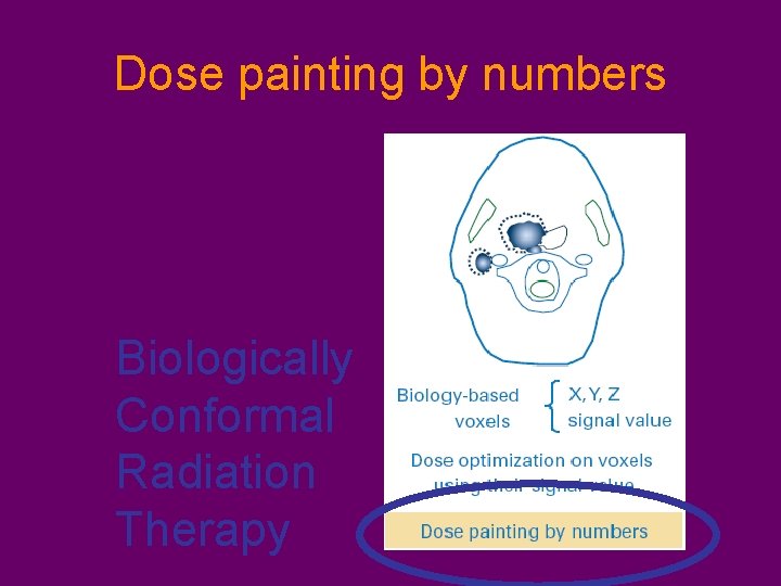 Dose painting by numbers Biologically Conformal Radiation Therapy 
