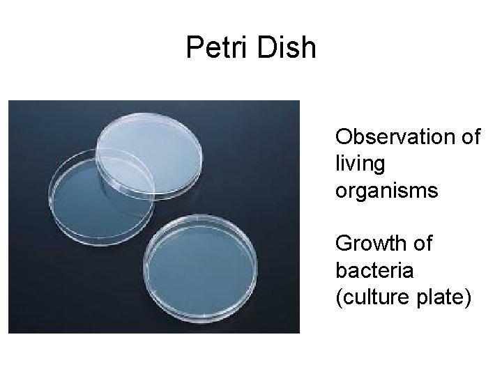 Petri Dish Observation of living organisms Growth of bacteria (culture plate) 