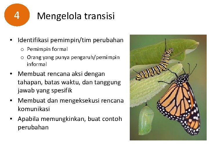 4 Mengelola transisi • Identifikasi pemimpin/tim perubahan o Pemimpin formal o Orang yang punya