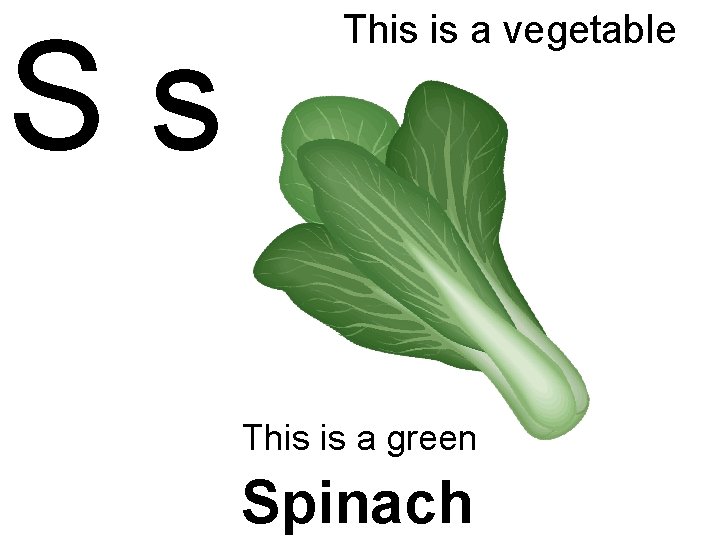 Ss This is a vegetable This is a green Spinach 