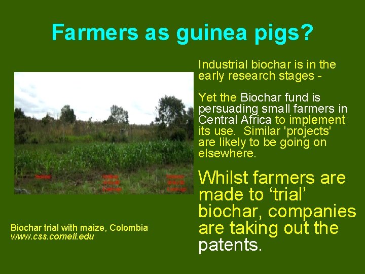 Farmers as guinea pigs? Industrial biochar is in the early research stages Yet the