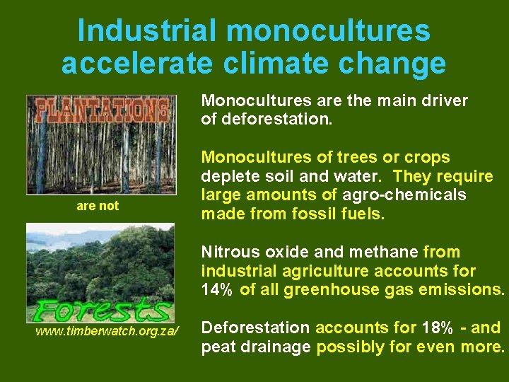 Industrial monocultures accelerate climate change Monocultures are the main driver of deforestation. are not