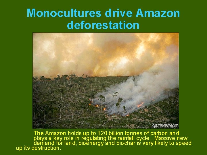 Monocultures drive Amazon deforestation The Amazon holds up to 120 billion tonnes of carbon