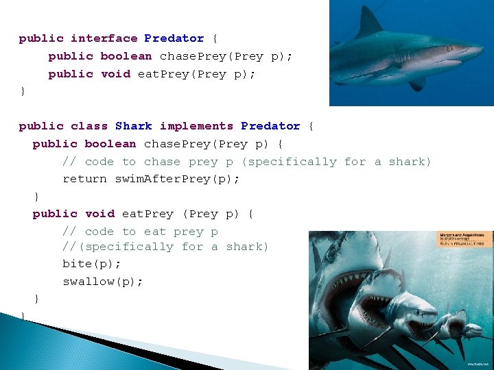 public interface Predator { public boolean chase. Prey(Prey p); public void eat. Prey(Prey p);