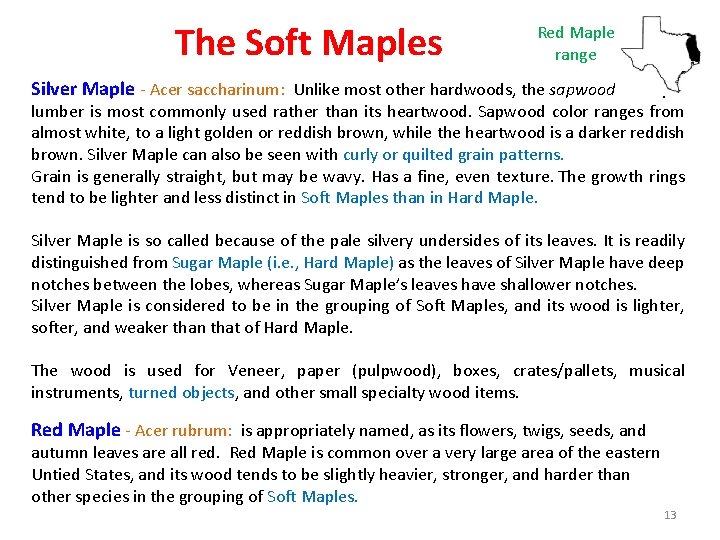 The Soft Maples Red Maple range Silver Maple - Acer saccharinum: Unlike most other