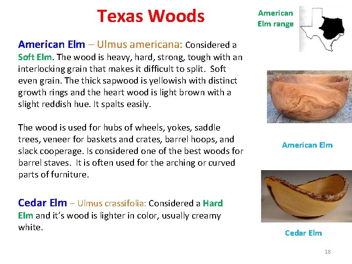 Texas Woods American Elm range American Elm – Ulmus americana: Considered a Soft Elm.