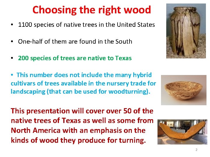 Choosing the right wood • 1100 species of native trees in the United States