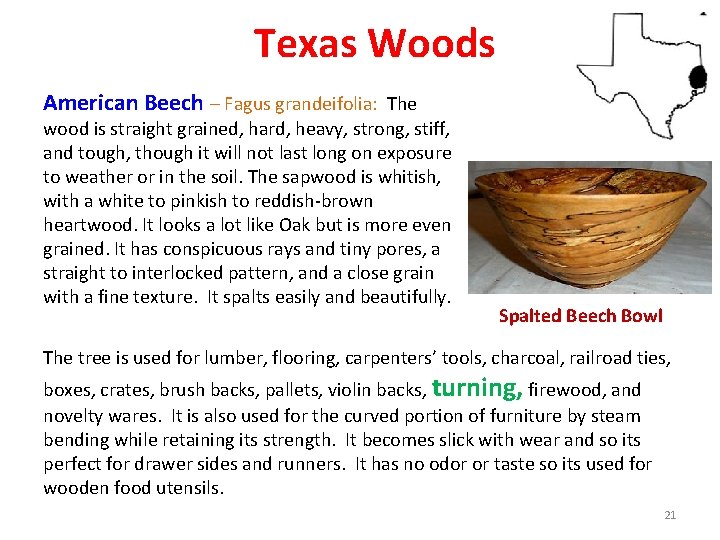 Texas Woods American Beech – Fagus grandeifolia: The wood is straight grained, hard, heavy,