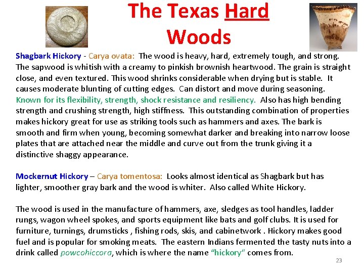 The Texas Hard Woods Shagbark Hickory - Carya ovata: The wood is heavy, hard,