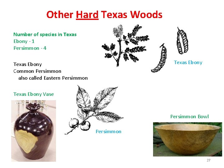 Other Hard Texas Woods Number of species in Texas Ebony - 1 Persimmon -