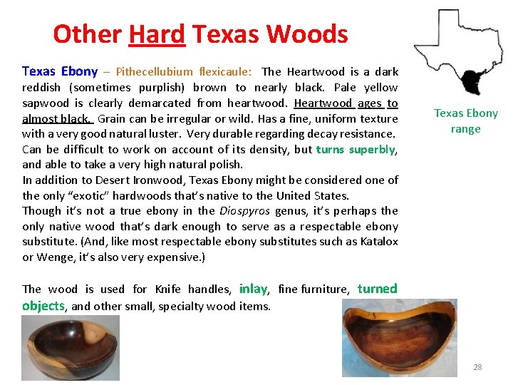 Other Hard Texas Woods Texas Ebony – Pithecellubium flexicaule: The Heartwood is a dark