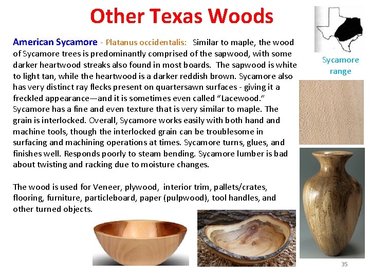 Other Texas Woods American Sycamore - Platanus occidentalis: Similar to maple, the wood of